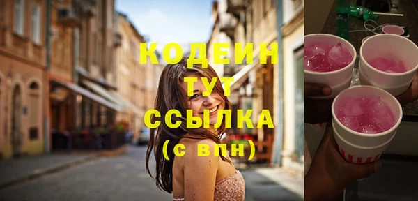 шишки Наволоки
