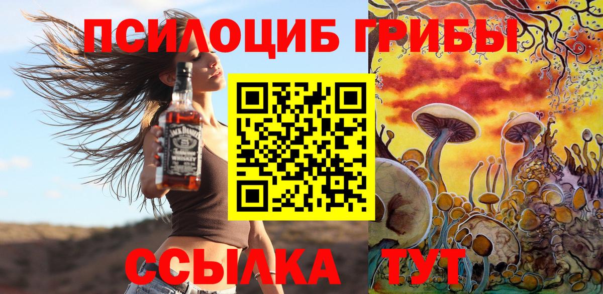 Псилоцибиновые грибы GOLDEN TEACHER  Галлюциногенные грибы Psilocybine cubensis  Нижний Тагил  Вход с VPN 
