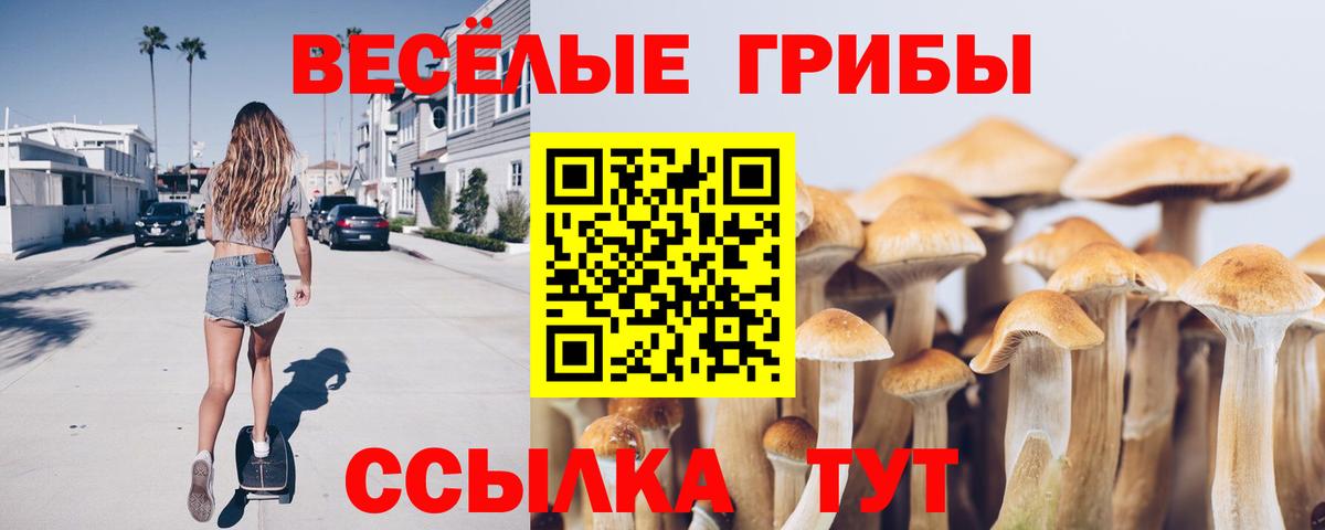 Псилоцибиновые грибы мицелий Нижний Тагил